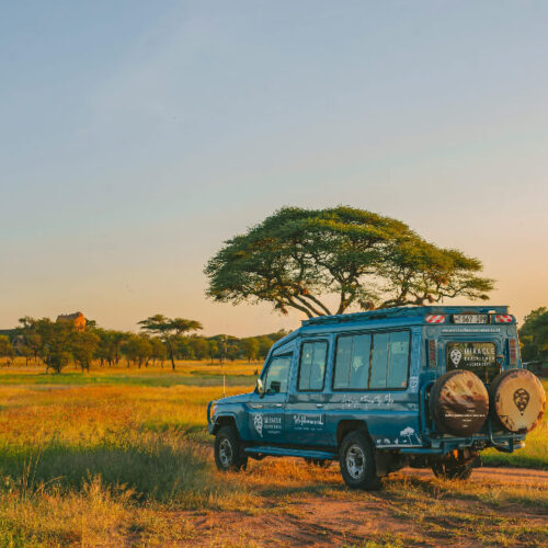 Kenya and Tanzania Overland Explorer Safari