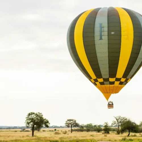Amboseli and Masai Mara Safari Circuit Tour